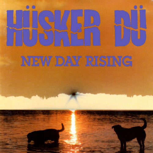 Husker Du - New day rising (LP) - Discords.nl