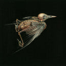 Jenny Hval & Susanna - Meshes of voice (CD) - Discords.nl