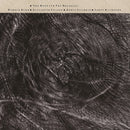 Cocteau Twins & Harold Budd - The moon & the melodies (LP) - Discords.nl