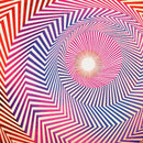 Harriet Tubman Feat. Georgia Anne Muldrow & Brando - Electrical fields of love (CD) - Discords.nl