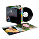 Harry Styles - Kiss All The Time. Disco, Occasionally. (LP)