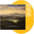 Warren Haynes - Dreams & songs (LP)