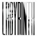 Heather Woods Broderick - Labyrinth (LP) - Discords.nl