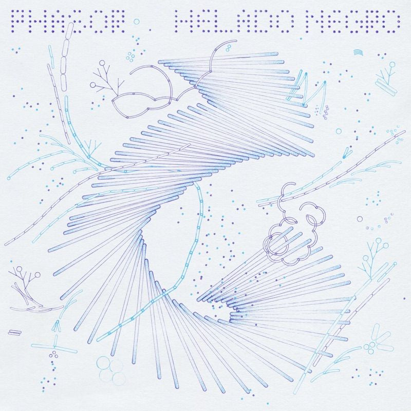 Helado Negro - Phasor (LP) - Discords.nl