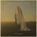 Hercules & Love Affair - In amber (LP) - Discords.nl