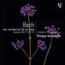Philippe Herreweghe - Herz und mund und tat und leben (CD)