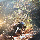 Ty Segall - Possession (LP) - Discords.nl