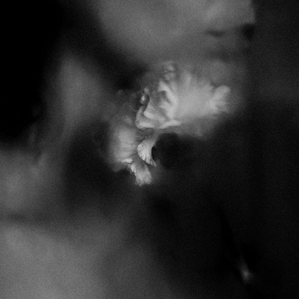 Holding Absence - Holding absence (CD) - Discords.nl