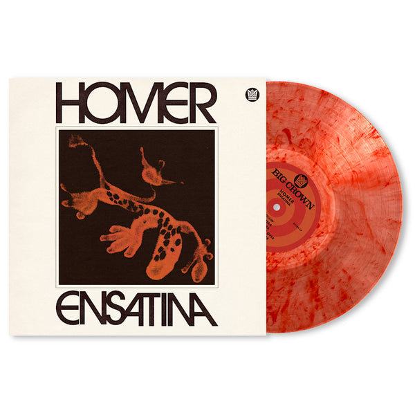 Homer - Ensatina (orange) (LP) - Discords.nl