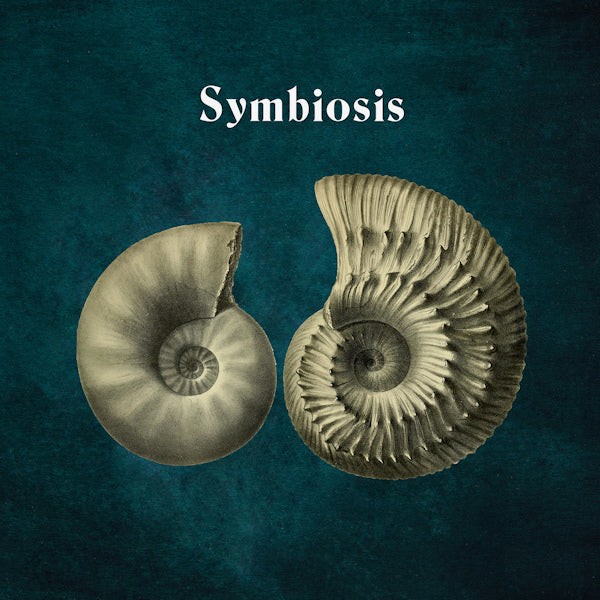 Hydrogen Sea - Symbiosis (12-inch) - Discords.nl