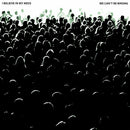 I Believe In My Mess - We can't be wrong (LP)