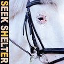 Iceage - Seek shelter (LP) - Discords.nl