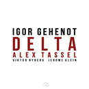 Igor Gehenot - Delta (CD) - Discords.nl