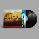 Bonobo - Distance in static (LP)