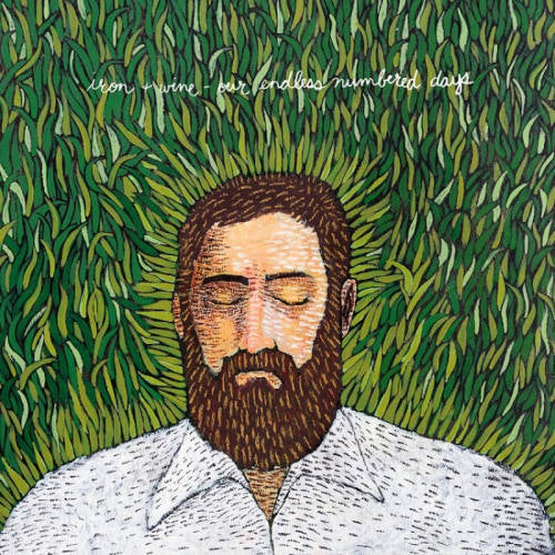 Iron & Wine - Our endless numbered days (CD) - Discords.nl
