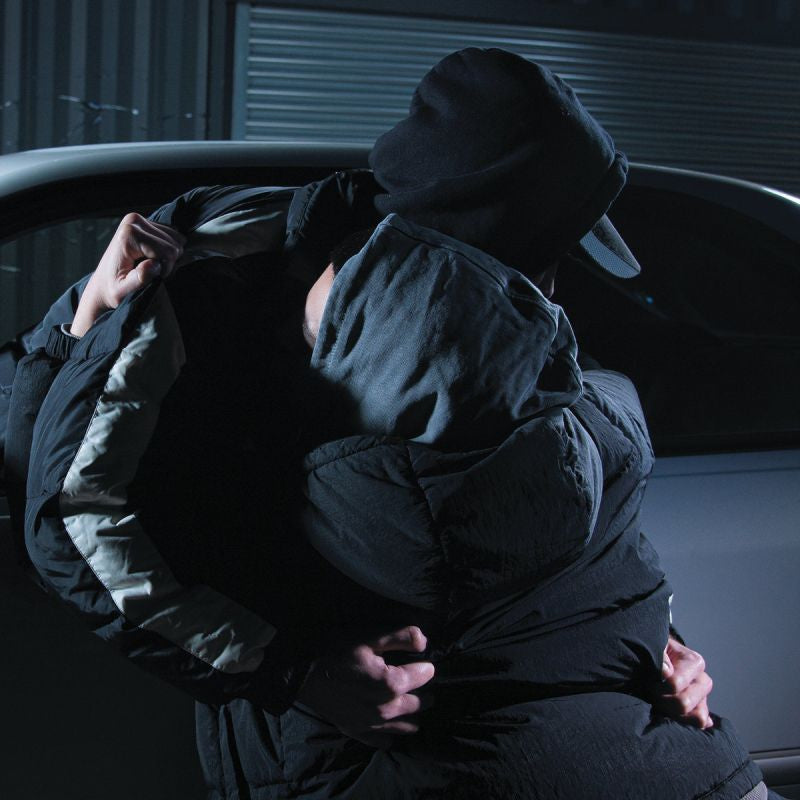 Iceboy Violet & Nueen - You said you'd hold my hand through the fire (LP) - Discords.nl