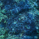 Ichiko Aoba - Luminescent creatures (LP) - Discords.nl