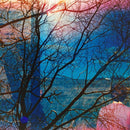 Idlewild - Idlewild (LP) - Discords.nl