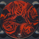 Harold Budd, Hector Zazou - Glyph (CD Tweedehands) - Discords.nl