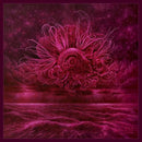 In Mourning - Garden of storms (LP)