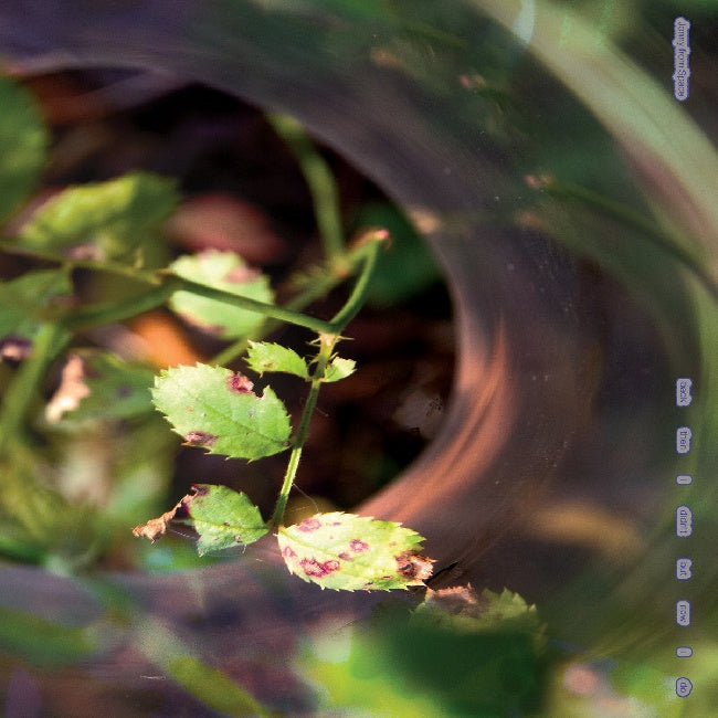 Jonny From Space - Back then i didn t but now i do (LP) - Discords.nl