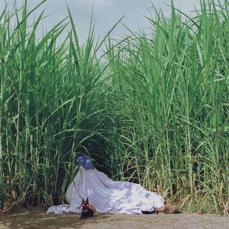 Indus - Negra (LP) - Discords.nl