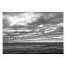 Tomahawk - Tonic immobility (LP) - Discords.nl