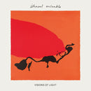 Ishmael Ensemble - Visions of light (CD) - Discords.nl