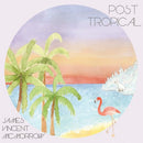 James Vincent Mcmorrow - Post tropical (LP) - Discords.nl