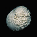 JFDR - Brazil (CD) - Discords.nl