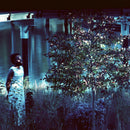 Jjjjjerome Ellis - Vesper sparrow (CD) - Discords.nl