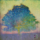 Eric Johnson - Ej (CD) - Discords.nl