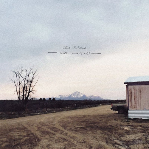 Will Johnson - Wire mountain (LP)