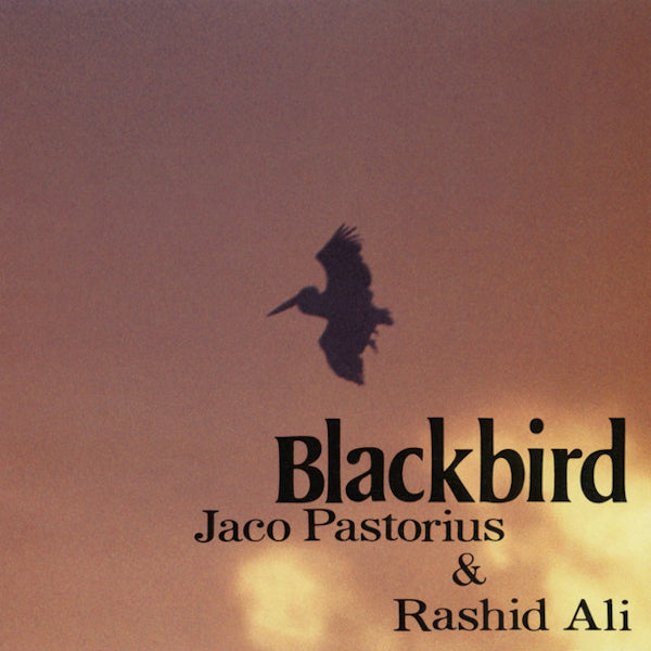Jaco Pastorius & Rashied Ali - Blackbird (CD)