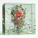 Jacob Collier - Djesse vol. 4 (LP) - Discords.nl