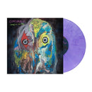 Dinosaur Jr. - Sweep it into space (LP) - Discords.nl