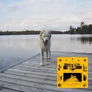 Jaguar Sun - Daisy (LP) - Discords.nl