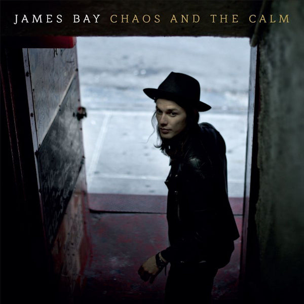 Bay, James - Chaos and the Calm (LP) - Discords.nl