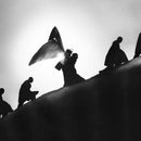 James Blake - Playing robots into heaven (CD) - Discords.nl