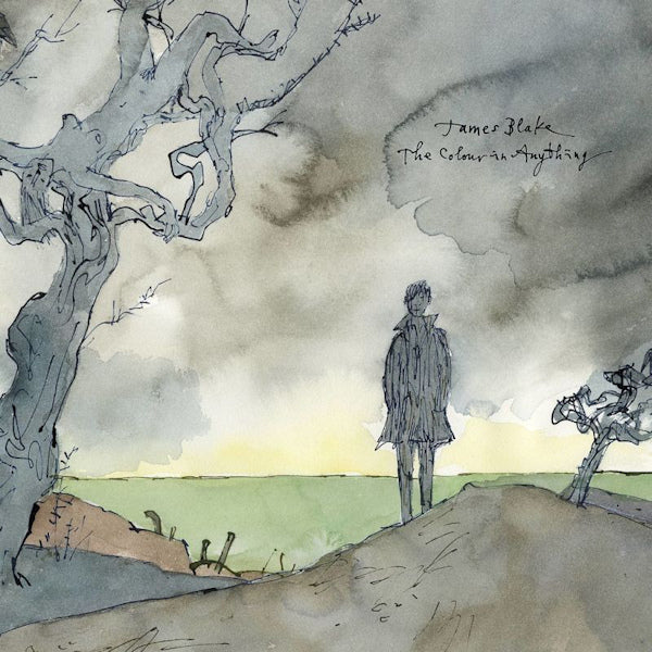 James Blake - The colour in anything (LP) - Discords.nl