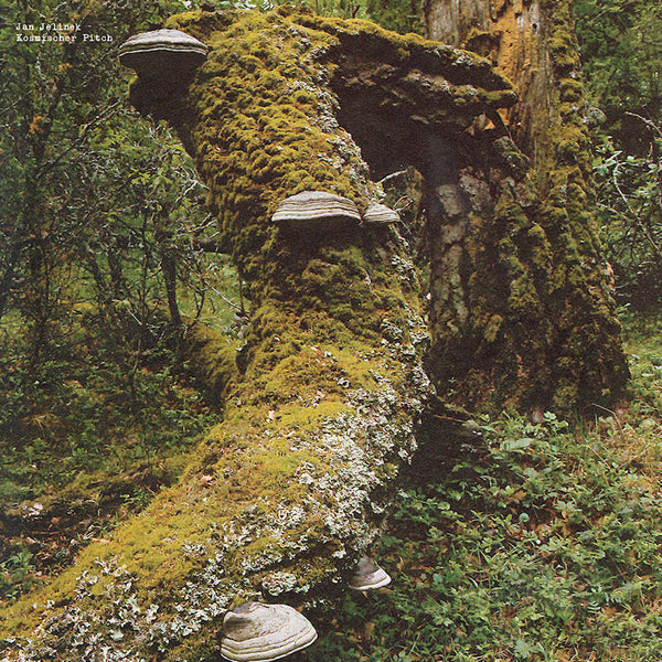 Jan Jelinek - Kosmischer pitch (LP) - Discords.nl