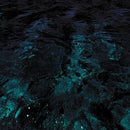 Marcel Veenendaal, Jan van Duikeren - A Love Unveiled (LP) - Discords.nl