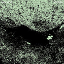 Jaye Jayle - No trail and other unholy paths (CD) - Discords.nl