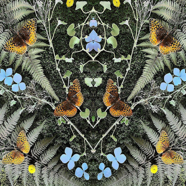 Jean-Michel Blais - Aubades (LP) - Discords.nl