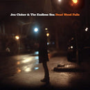 Jen Cloher & The Endless Sea - Dead wood falls -coloured- (LP) - Discords.nl