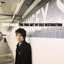 Jesse Malin - The fine art of self destruction -ltd- (CD) - Discords.nl