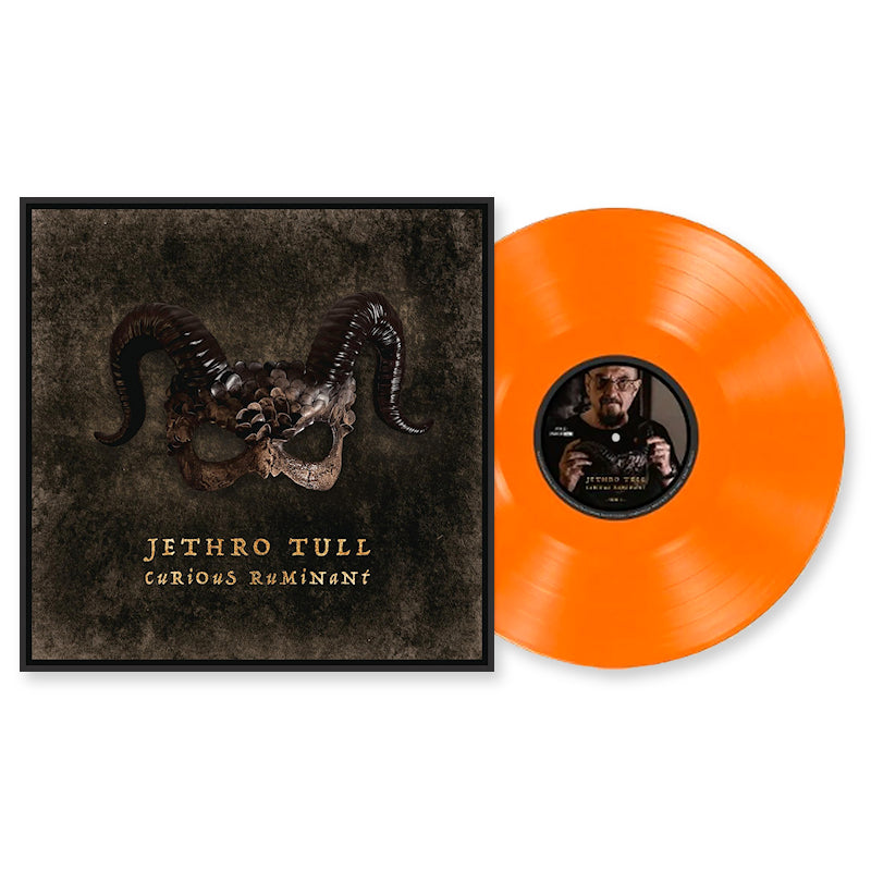 Jethro Tull - Curious ruminant (LP) - Discords.nl