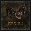 Jethro Tull - Curious ruminant (CD)