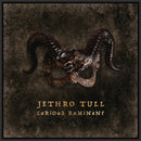 Jethro Tull - Curious Ruminant (LP) - Discords.nl