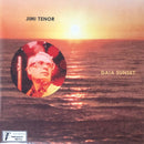 Jimi Tenor & Cold Diamond & Mink - Gaia sunset (7-inch single) - Discords.nl